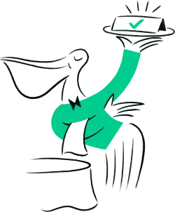 Tebi Owl perfectly balancing products and equipment.